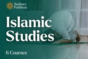 COMPREHENSIVE CURRICULUM