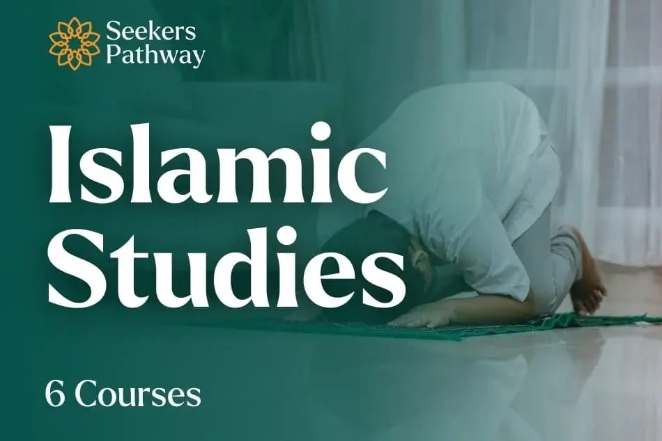 COMPREHENSIVE CURRICULUM